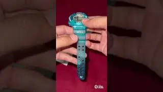 G-Shock Frogman DW-8201WC (W.C.C.S) World Coral-Reef Conservation Society WCCS