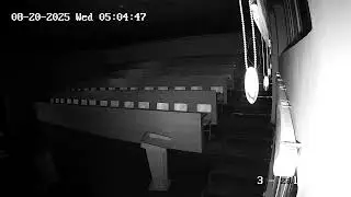 Прямая трансляция пользователя guldu atm3