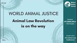 WAJ Presentation -UK Animal Law Conference 2024