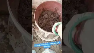 Kitna badiya composed ready #viral #gardening #terracegardenindia #vlogs #garden #vermicompost