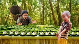 How to Make Sweet and Sour Salad from Papaya and Carrot - Bring them to Market to Sell with My Son