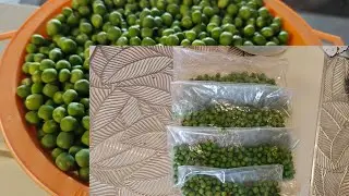 How to store green peas/Matar for long time