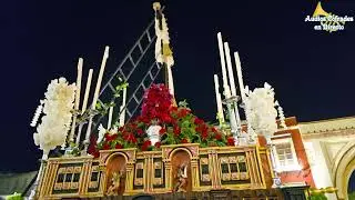 Cruz de Mayo Hermandad de la Soledad de Bollullos - Aljarafe Magna de Umbrete 2025