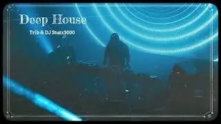 Soulful Deep House Mix 2024 | Franck Roger, Chris Herrera, Deephope, DuBeats, Boran Ece