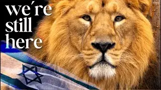 Am Yisrael Chai &mdash; And Always Will Be 🇮🇱 | Inspirational Jewish Song of Strength & Unity, עם ישראל חי
