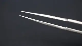 Precision in the details! V9 Series tweezers feature a 1mm polished tip for scratch-free handling.