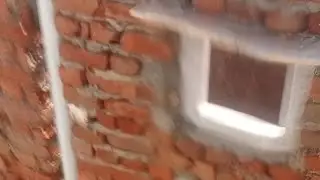 nikki singh Rajput  is live!