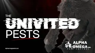 Uninvited Pests | Pest Control in Burleson, TX (Alpha & Omega Pest Control)