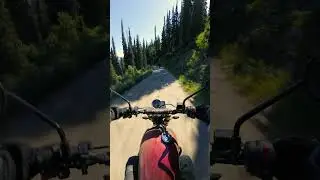 Full Video on @TheMotoExperience  #triumphscrambler #motorcycle #motovlog #pov #police #speed #usa