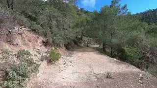 kantara forest cycling route