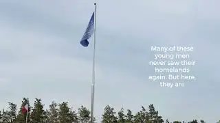 UN Memorial Cemetery in Busan - The Only One in the World