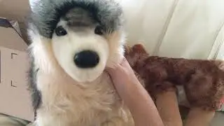 Douglas Smoke wolf plush unboxing
