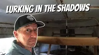 HIDDEN DANGER ⛔️ In Our Chicken Coop