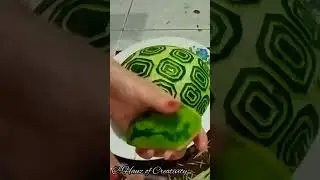 Watermelon Turtle