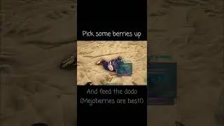 Ark How To Tame - Dodo