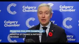 Federal Finance Minister Talks Budget To Chamber