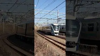 🟦E261系 サフィール踊り子 湘南新宿ライン