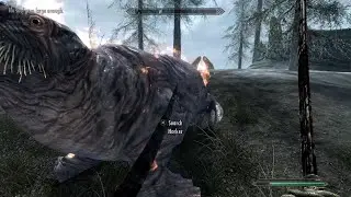 Skyrim. Dragonrend is useful.