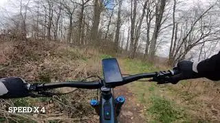 Trail Segment: Falkenstein - Anhausen