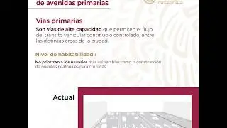 Tipolog&iacute;a de avenidas primarias