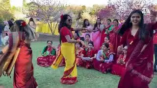 🔥old is gold 🔥 new teej songs 2080/ super hit teej songs