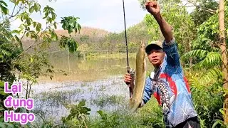 C&acirc;u c&aacute; l&oacute;c_H&agrave;nh tr&igrave;nh săn h&agrave;ng Hugo (p53)@Hữunghị tv