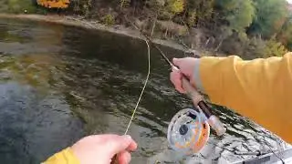 Fly Fishing The Muskegon River for Trout