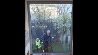 Winplex - Fixed Window