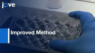 Method For Preparation Of Human Cell-Based, Contact Model Of Blood-Brain Barrier l Protocol Preview