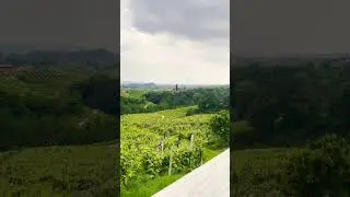 📍🍇Хороший день в Вальдоббьядене...