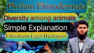 | phylum Ehinodermata and similarities with other animals class 11th | Premedical | ETEA |MDCAT |