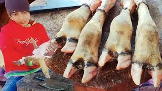 Faster Paya Cutting Skill Paya Cutting Master | Buffalo Paya Cutting Master | Trotters Cutting