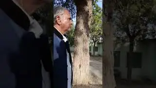 ICAR-National Research Centre on Camel #3 - Bikaner
