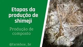 Visita a um produtor de composto para cultivo de shimeji