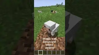 New BABY ANIMAL Update! #minecraft #minecraftshorts #minecraftupdate #update #music #updates #world