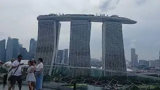 Supertree Observatory