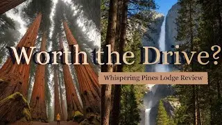 Whispering Pines Lodge Review | Sequoia Trees, Yosemite Drive & a Quiet Cabin Stay