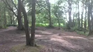 Monkey Bumps 2