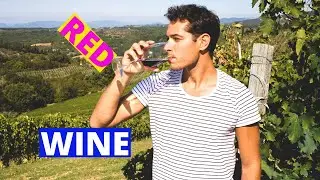 how to maximize red wine antioxidants