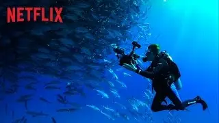 Mission Blue | Bande-annonce VOSTFR | Netflix France