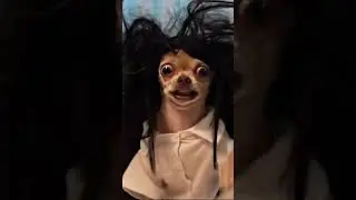 Life is crazy
