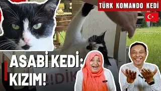 Pakistani Reaction 🇹🇷 Adana'nın asabi kedisi, m&uuml;şterilere aman vermiyor 🐈😻
