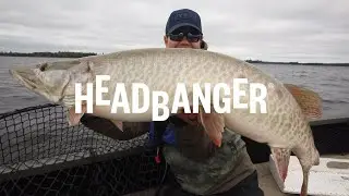 HEADBANGER LURES 2020