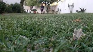 Homemade football passing training