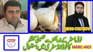 NARC H G1 Garlic | Use of NARC H G1 Garlic in Food Industry | G Agro Pakistan | Agriculture