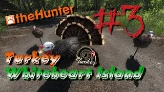 Mills Hunting Adventures - Episode #3 (Turkey on Whiteheart)