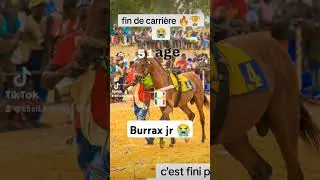 sen r&eacute;tro course hippique S&eacute;n&eacute;gal 🔥🏆🏇🇸🇳 #abonnetoi #afrique #duo