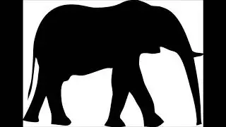 Elephant Sounds slowed down
