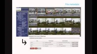 Widen DAM in higher education webinar recording (with Corey Chimko of Cornell University)