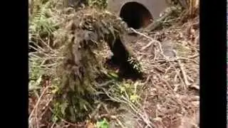 mining tunnels in south westland